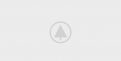 wood-gallery-placeholder-5