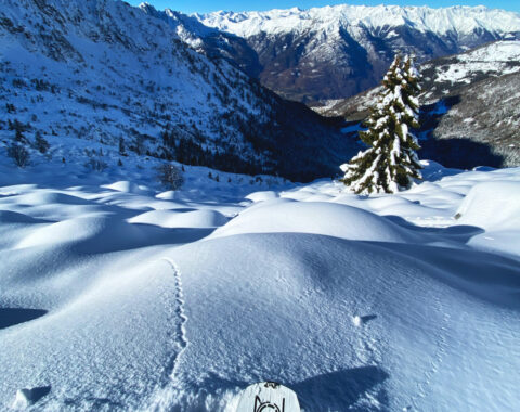 accessori splitboard